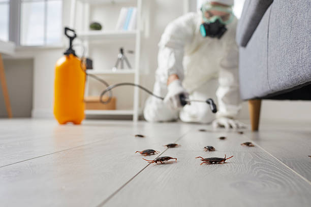 Commercial Kitchen Cockroach Control in Stockbridge